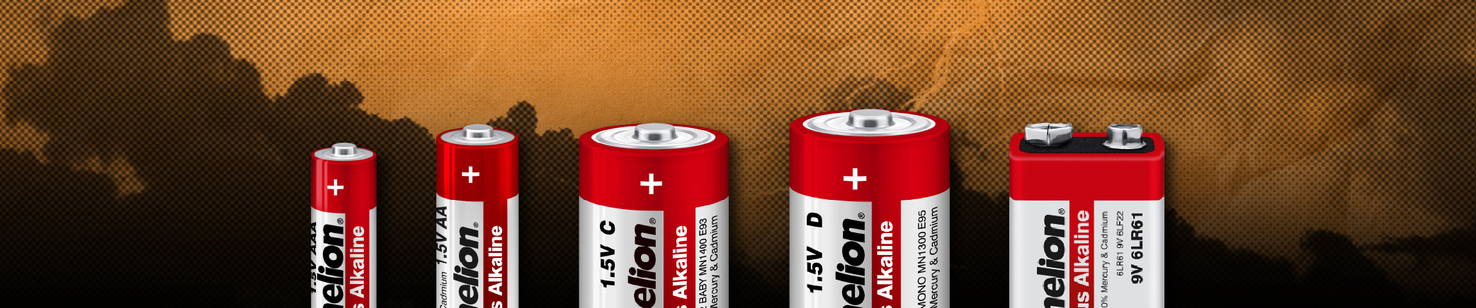 Non-Rechargeable Batteries