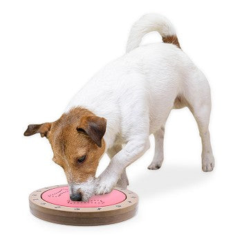 Flipo Brainiac Spin-O-Rama Treat Dispensing Pet Toy