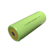 IP Power F Ni-Mh 1.2V 10000mAh Rechargeable Flat Top Battery Bulk