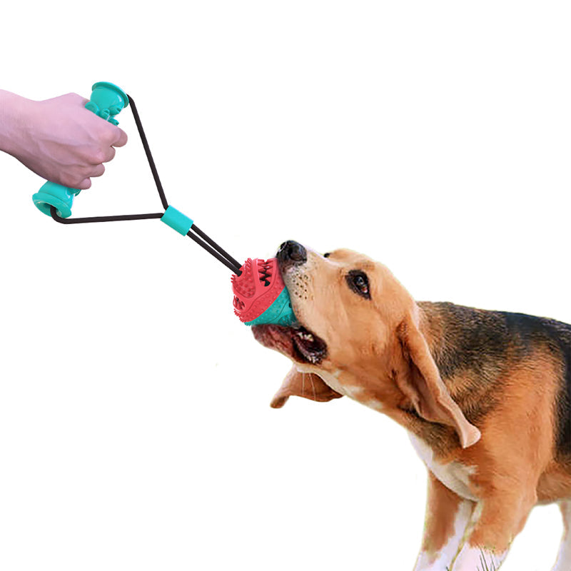 Flipo Ruff & Ready Duo™ Chew & Tug Toy