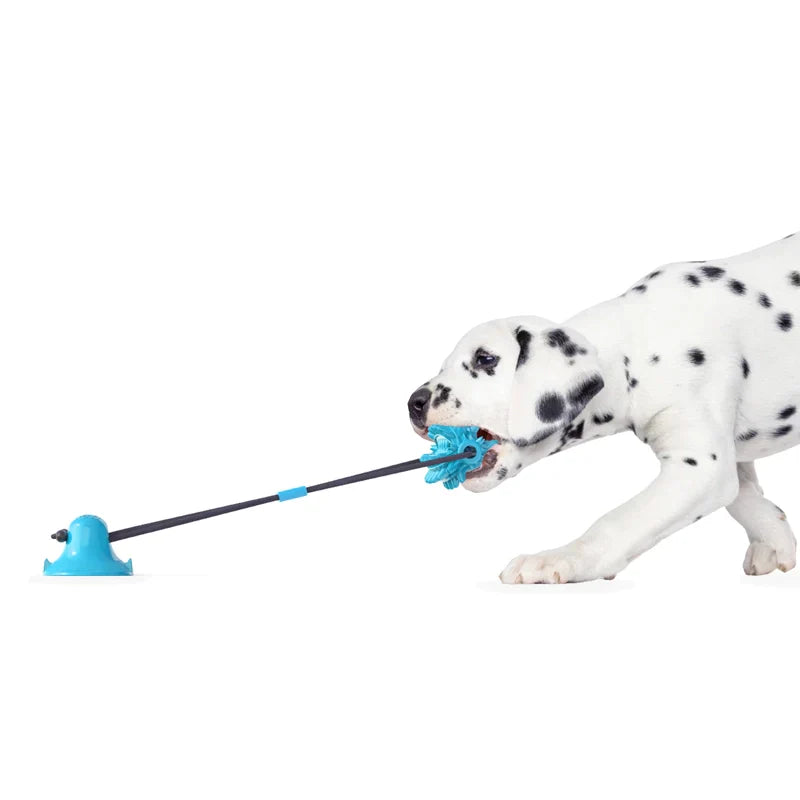 Flipo Ruff & Ready Solo™ Chew & Tug Toy