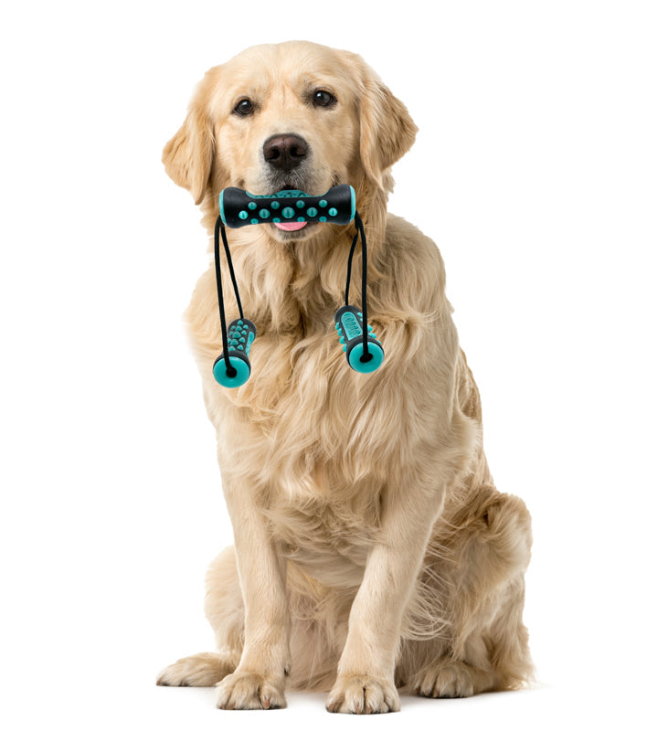 Flipo Ruff & Ready Trio™ Chew & Tug Toy