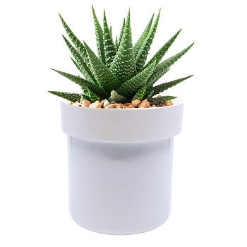 Flipo Secret Safe | Flower Pot With Key Lock