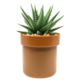 Flipo Secret Safe | Flower Pot With Key Lock