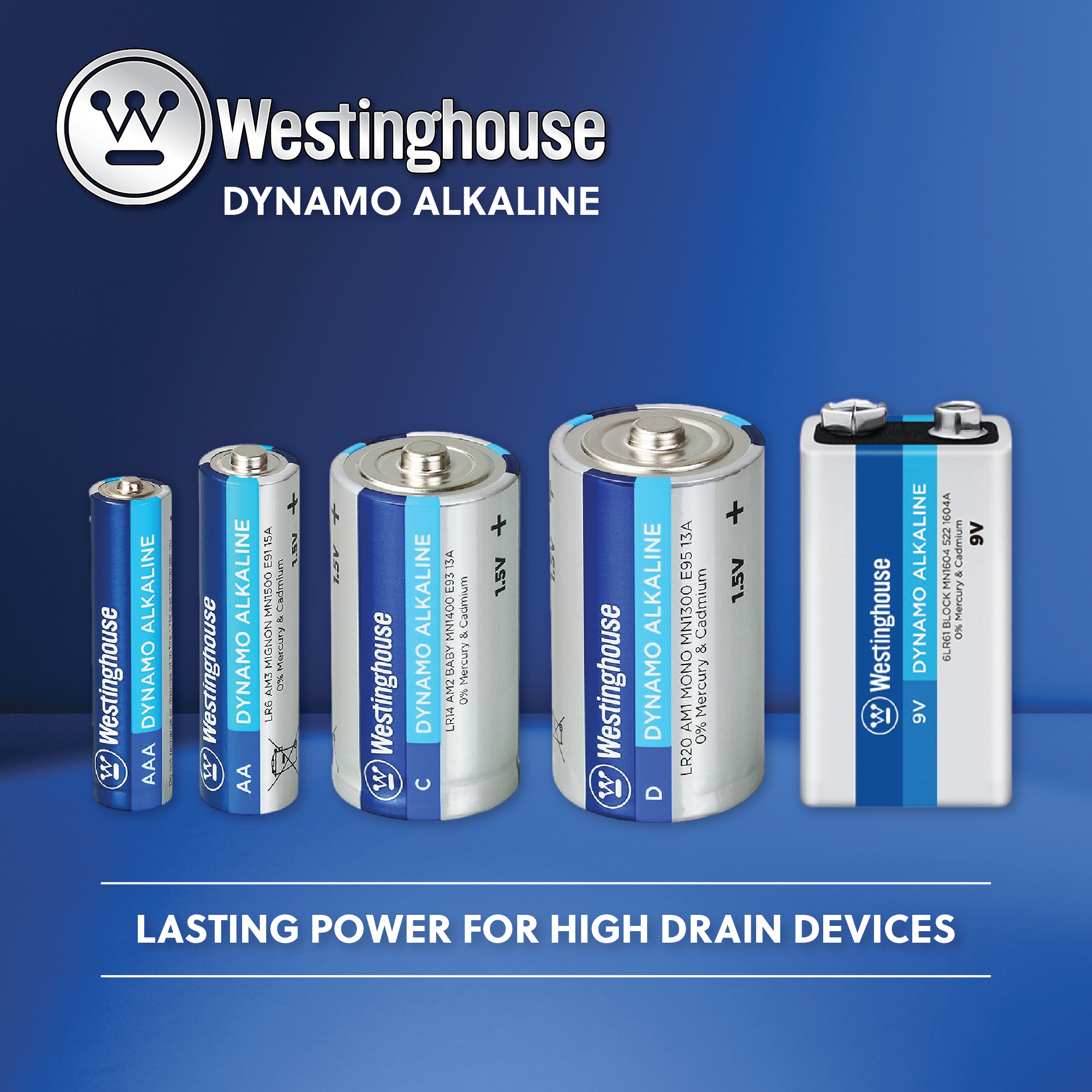 Westinghouse AA Dynamo Alkaline Cardboard Box of 24