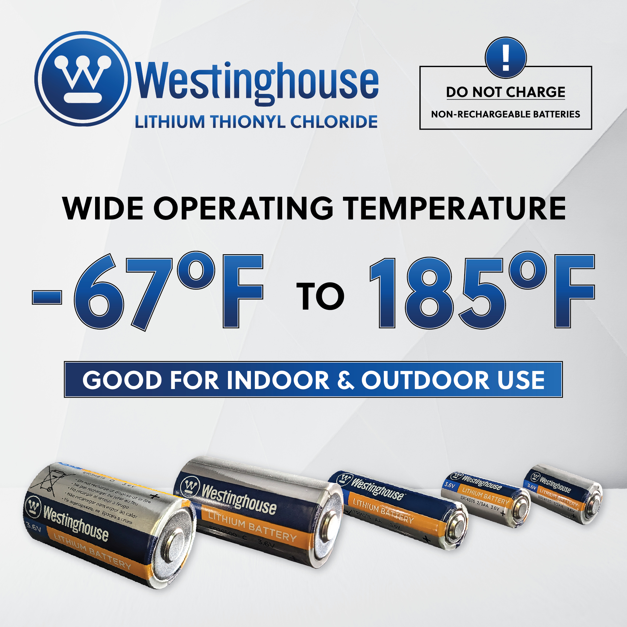 Westinghouse ER34615 D size 3.6V Lithium Primary Battery for Specialized Devices - Non Rechargeable