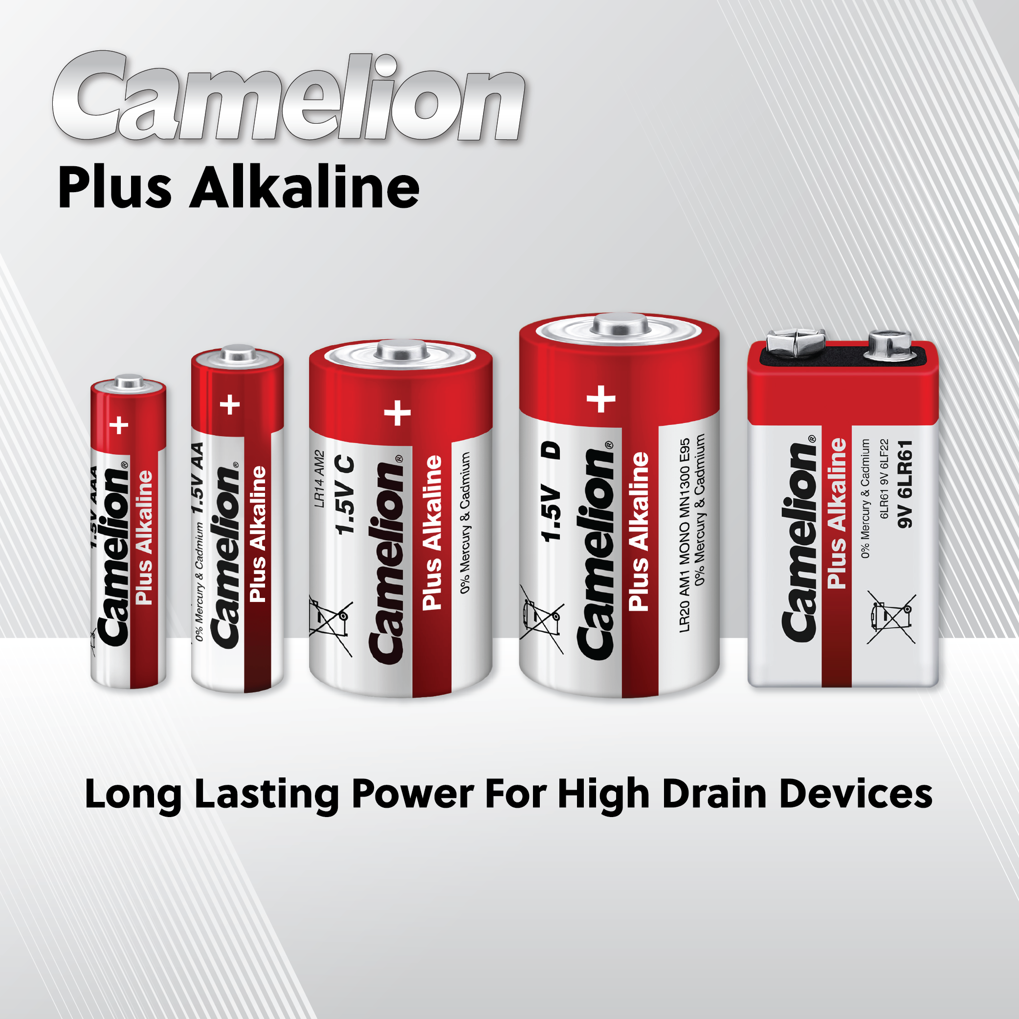 Camelion D Plus Alkaline Plastic Tub of 4