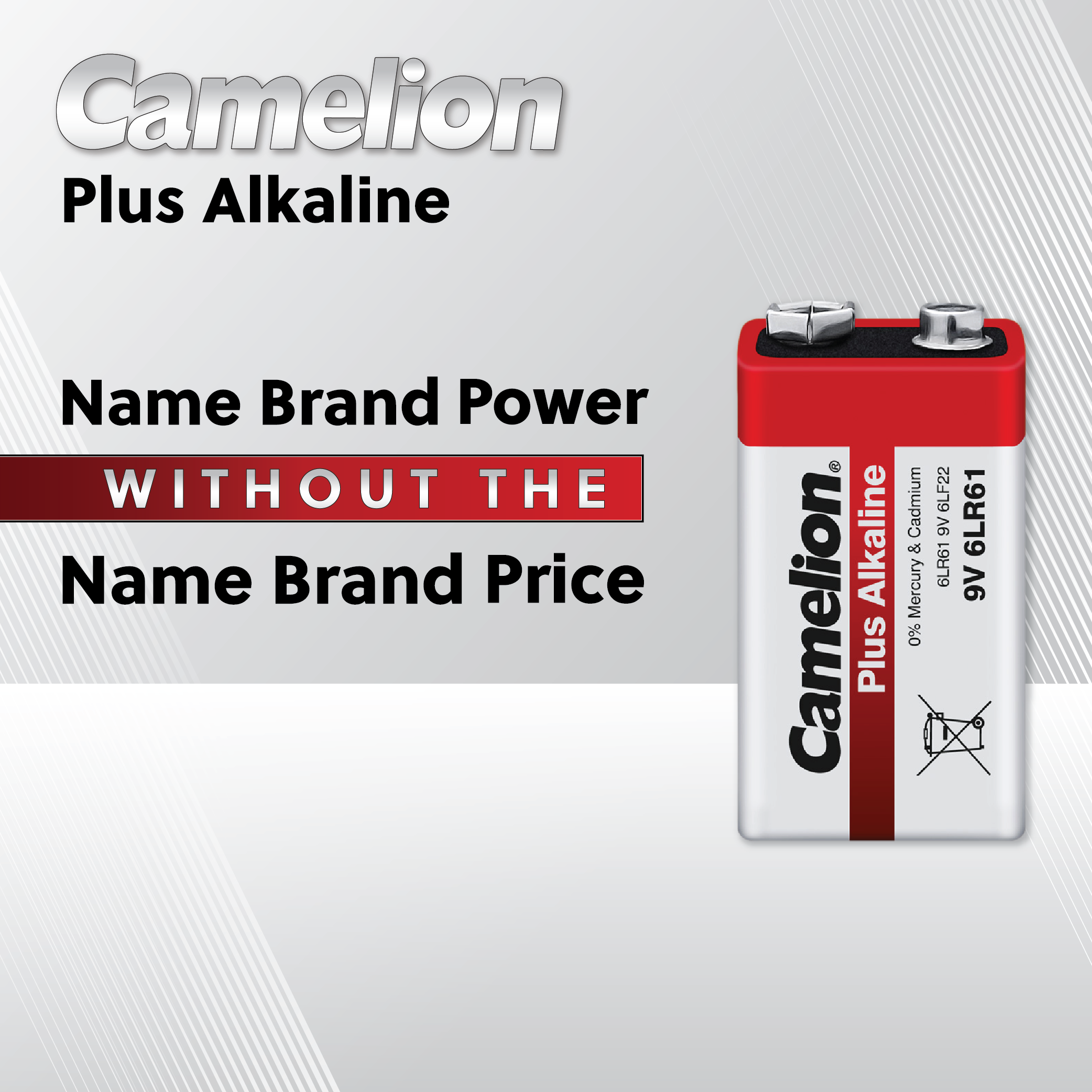 Camelion AA Plus Alkaline Batteries Blister 2Pk