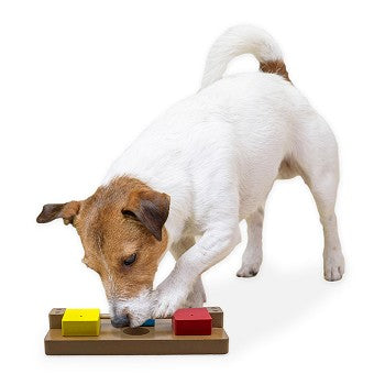 Flipo Brainiac Flip-Flop-Fido Treat Dispensing Pet Toy