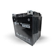 IP Power IPX30L 12V 30Ah AGM Motorsport Battery